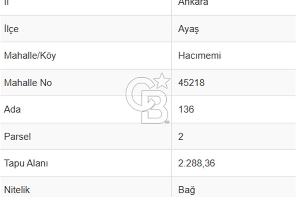 AYAŞ KARADEREDE SATILIK BAĞ MERKEZE YÜRÜME MESAFESİ