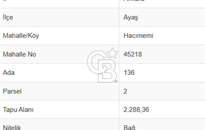 AYAŞ KARADEREDE SATILIK BAĞ MERKEZE YÜRÜME MESAFESİ