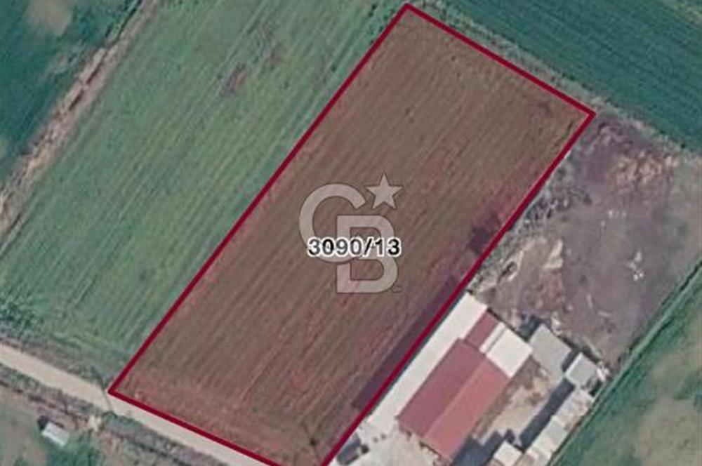 Menemen 29 Ekim Mahallesi 7774 m2 Satılık Tarla