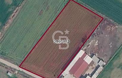 Menemen 29 Ekim Mahallesi 7774 m2 Satılık Tarla