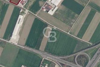 Menemen 29 Ekim Mahallesi 7774 m2 Satılık Tarla - 1 - 360638