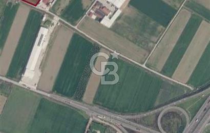 Menemen 29 Ekim Mahallesi 7774 m2 Satılık Tarla