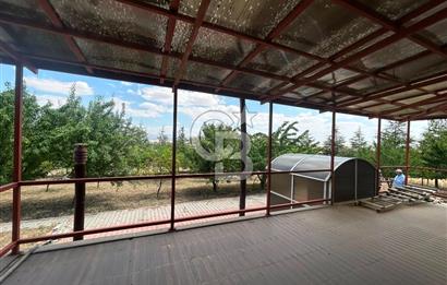 GÖLBAŞI HACILAR MAHALLESİ'NDE SATILIK 5+1 VİLLA