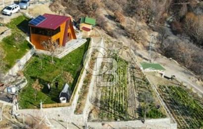 AYAŞ KARADERE BAĞLARINDA 1594 M² BAĞ