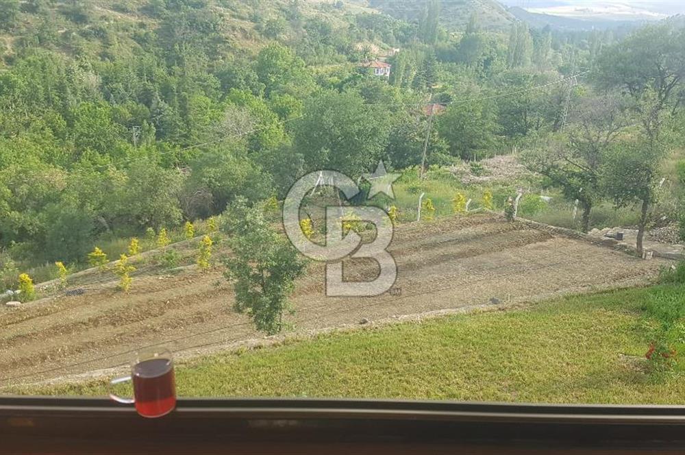 AYAŞ KARADERE BAĞLARINDA 1594 M² BAĞ