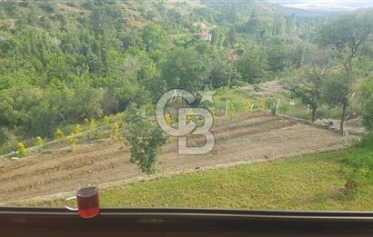 AYAŞ KARADERE BAĞLARINDA 1594 M² BAĞ