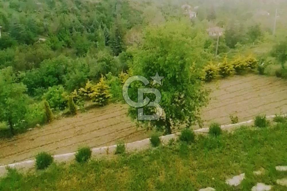 AYAŞ KARADERE BAĞLARINDA 1594 M² BAĞ