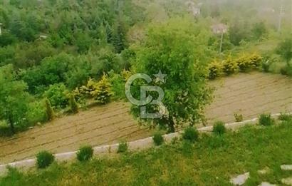 AYAŞ KARADERE BAĞLARINDA 1594 M² BAĞ