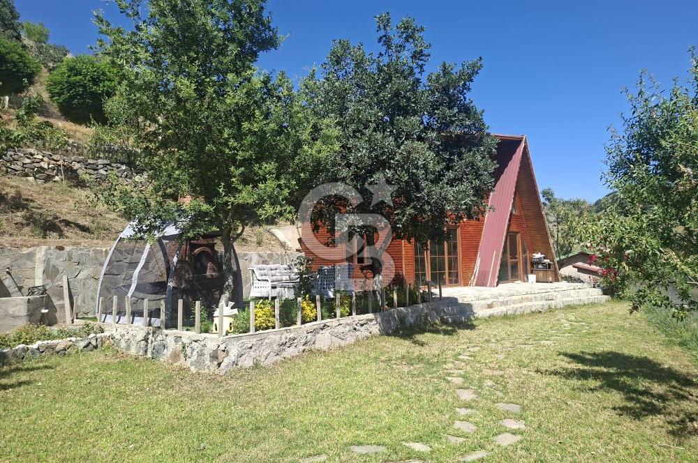 AYAŞ KARADERE BAĞLARINDA 1594 M² BAĞ