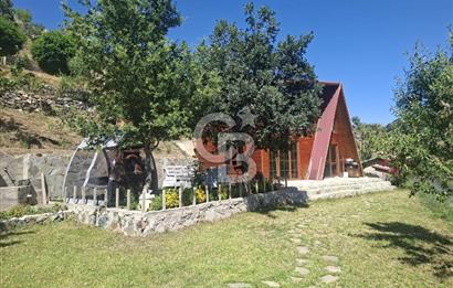 AYAŞ KARADERE BAĞLARINDA 1594 M² BAĞ