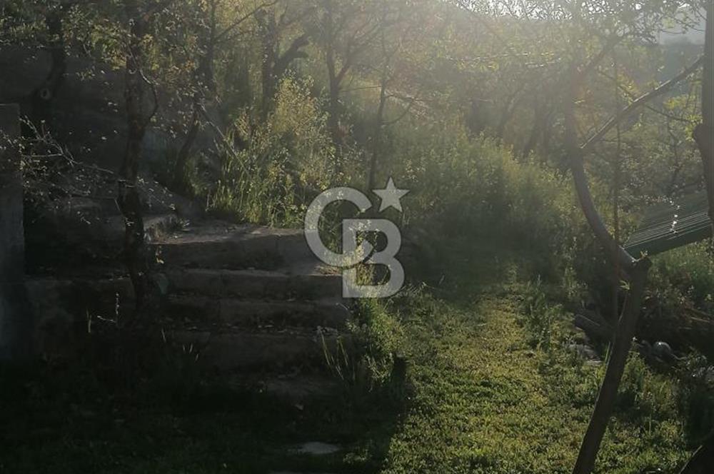AYAŞ KARADERE BAĞLARINDA 1594 M² BAĞ