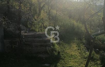 AYAŞ KARADERE BAĞLARINDA 1594 M² BAĞ