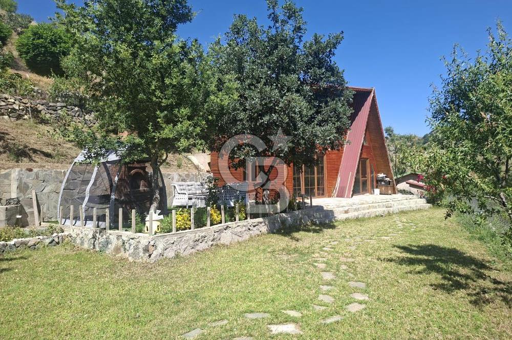 AYAŞ KARADERE BAĞLARINDA 1594 M² BAĞ