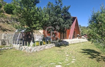 AYAŞ KARADERE BAĞLARINDA 1594 M² BAĞ