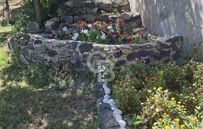 AYAŞ KARADERE BAĞLARINDA 1594 M² BAĞ