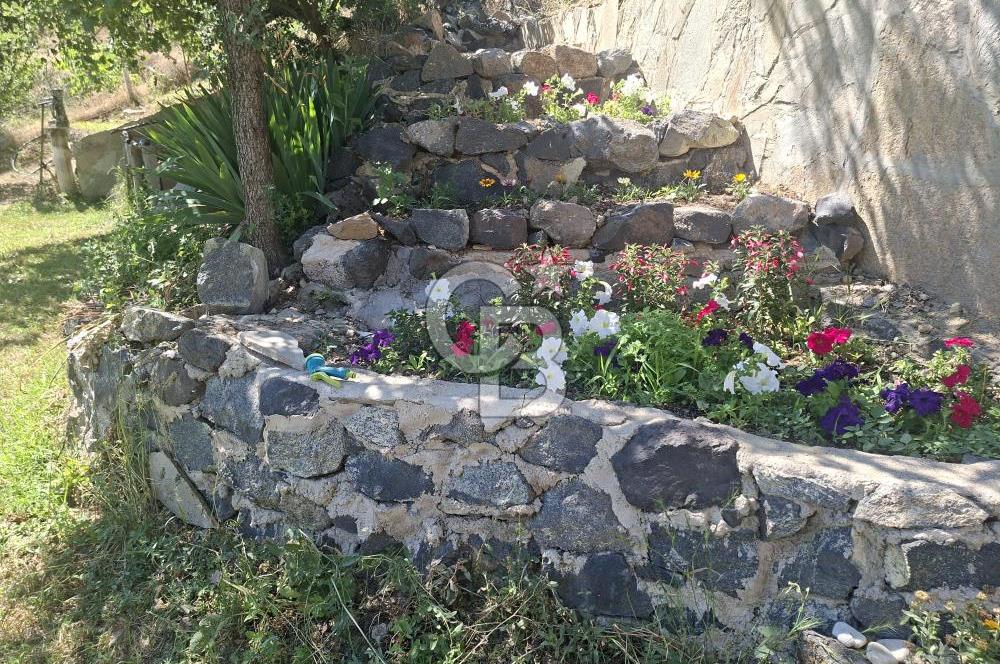AYAŞ KARADERE BAĞLARINDA 1594 M² BAĞ