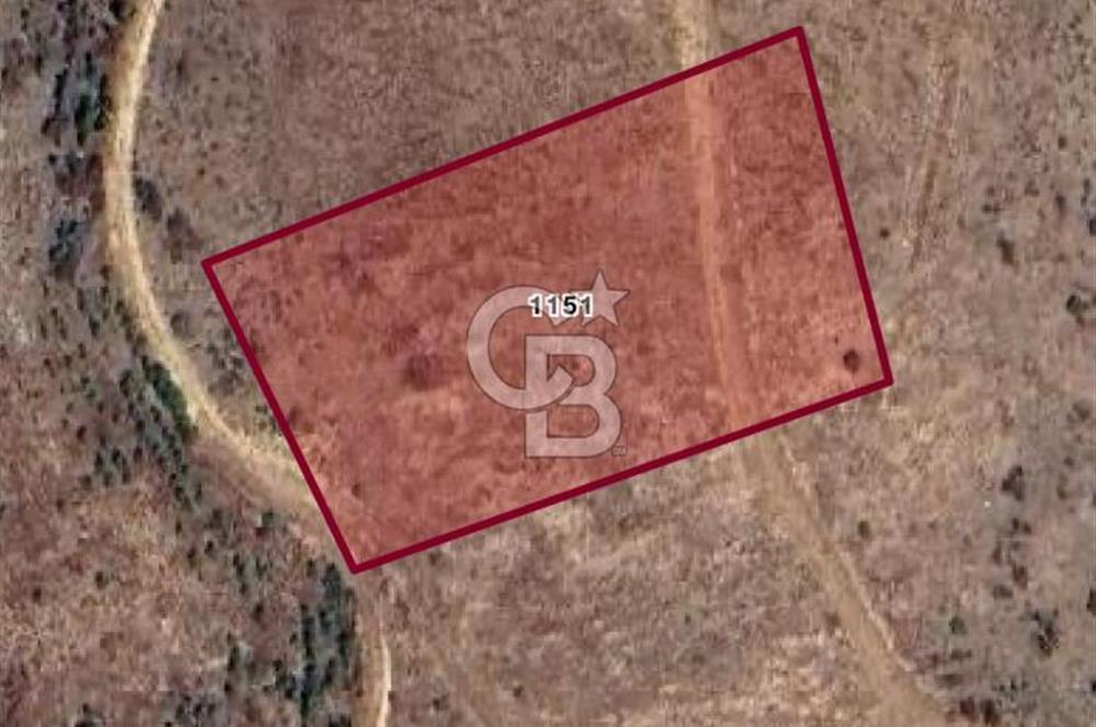 FIRSAT TARLA! 5.880 m² – DEĞERİNİN ÇOK ALTINDA!
