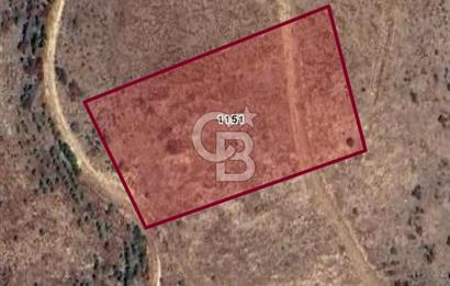 FIRSAT TARLA! 5.880 m² – DEĞERİNİN ÇOK ALTINDA!