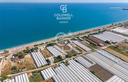 ANTALYA DEMRE TAŞDİBİ DENİZE 100 METRE KONUMDA SATILIK TARLA