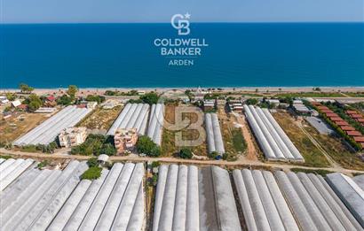 ANTALYA DEMRE TAŞDİBİ DENİZE 100 METRE KONUMDA SATILIK TARLA