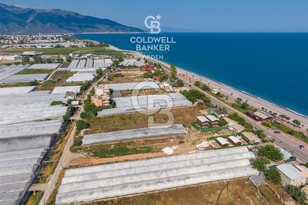 ANTALYA DEMRE TAŞDİBİ DENİZE 100 METRE KONUMDA SATILIK TARLA