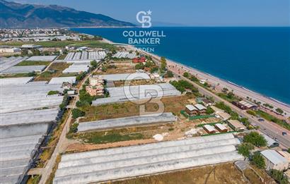 ANTALYA DEMRE TAŞDİBİ DENİZE 100 METRE KONUMDA SATILIK TARLA