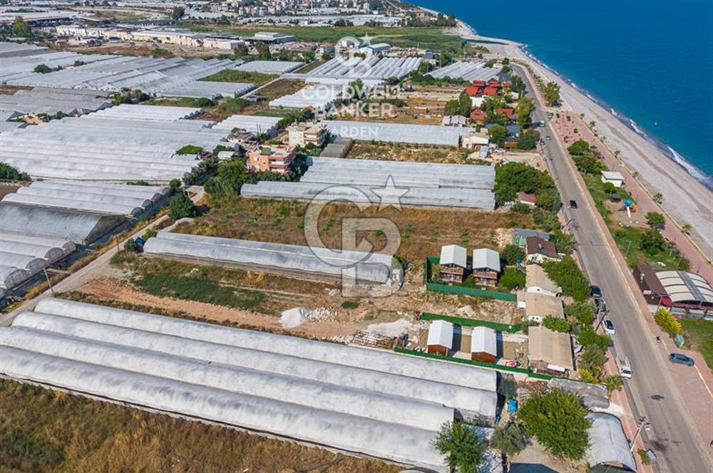 ANTALYA DEMRE TAŞDİBİ DENİZE 100 METRE KONUMDA SATILIK TARLA