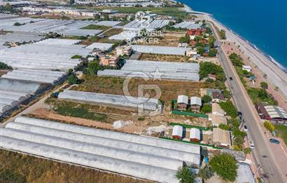 ANTALYA DEMRE TAŞDİBİ DENİZE 100 METRE KONUMDA SATILIK TARLA