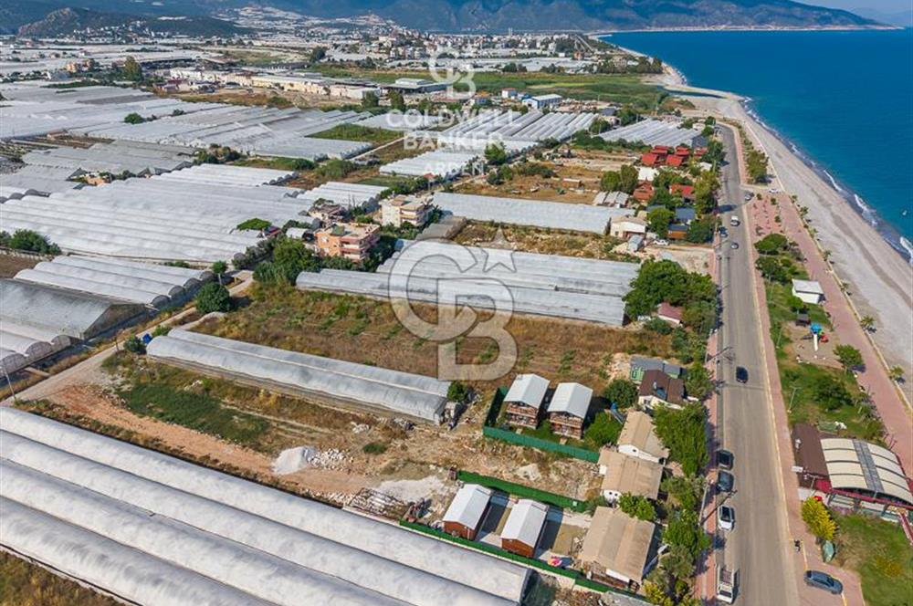 ANTALYA DEMRE TAŞDİBİ DENİZE 100 METRE KONUMDA SATILIK TARLA