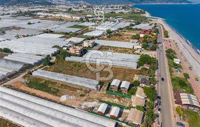ANTALYA DEMRE TAŞDİBİ DENİZE 100 METRE KONUMDA SATILIK TARLA