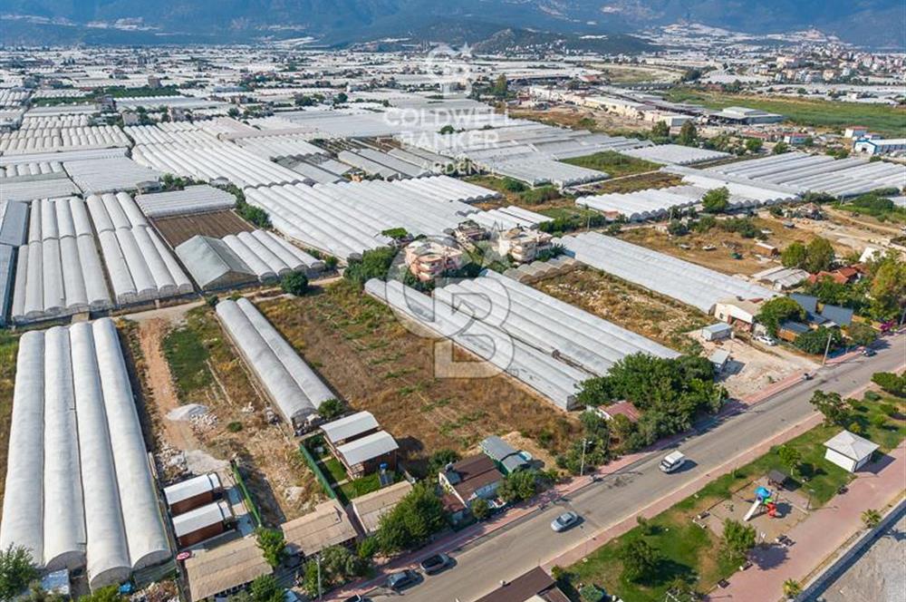 ANTALYA DEMRE TAŞDİBİ DENİZE 100 METRE KONUMDA SATILIK TARLA