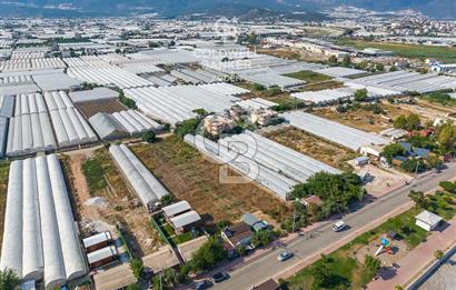 ANTALYA DEMRE TAŞDİBİ DENİZE 100 METRE KONUMDA SATILIK TARLA
