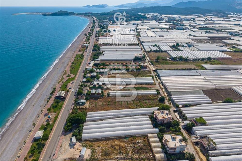 ANTALYA DEMRE TAŞDİBİ DENİZE 100 METRE KONUMDA SATILIK TARLA