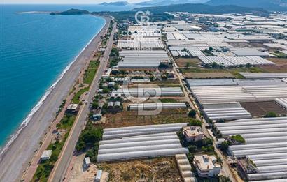 ANTALYA DEMRE TAŞDİBİ DENİZE 100 METRE KONUMDA SATILIK TARLA