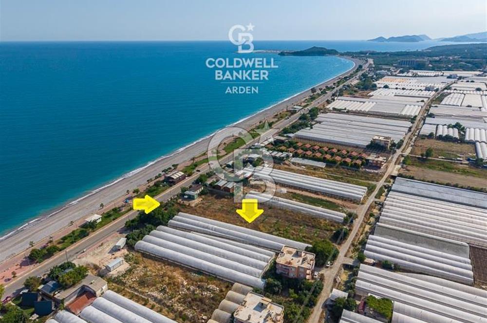 ANTALYA DEMRE TAŞDİBİ DENİZE 100 METRE KONUMDA SATILIK TARLA