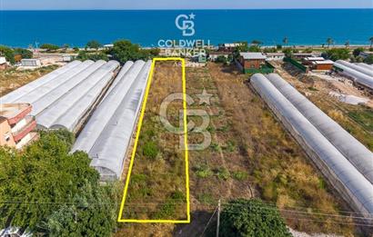 ANTALYA DEMRE TAŞDİBİ DENİZE 100 METRE KONUMDA SATILIK TARLA