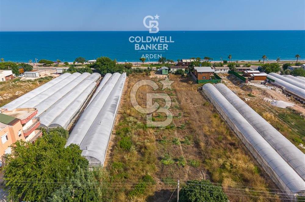 ANTALYA DEMRE TAŞDİBİ DENİZE 100 METRE KONUMDA SATILIK TARLA