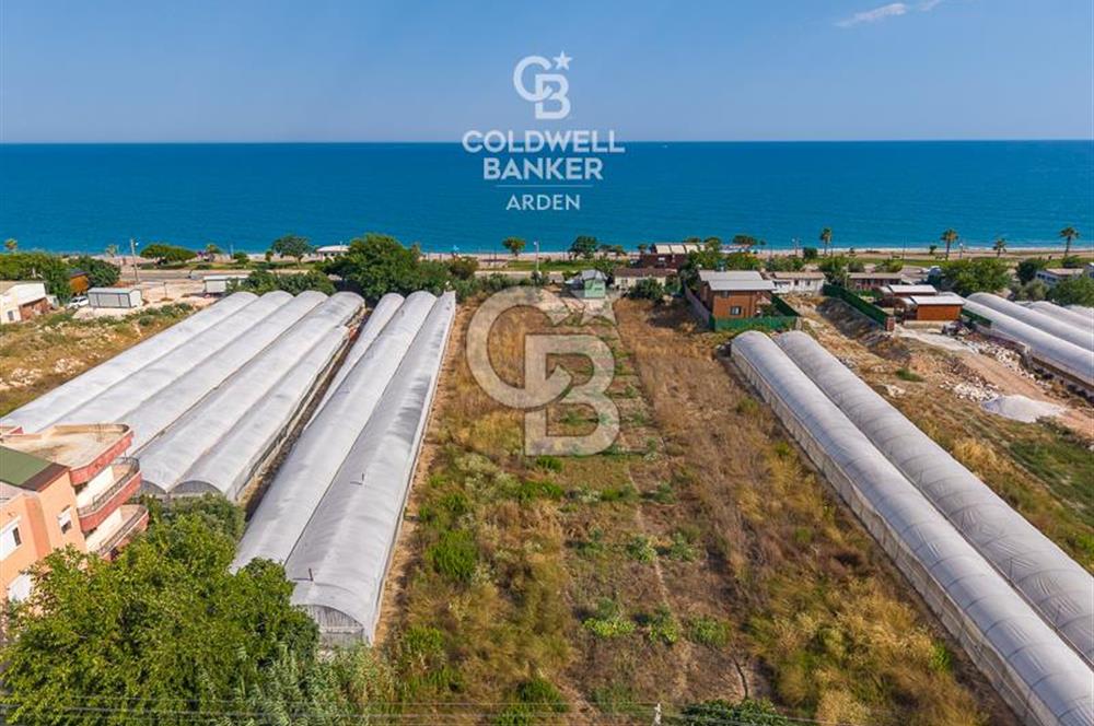 ANTALYA DEMRE TAŞDİBİ DENİZE 100 METRE KONUMDA SATILIK TARLA