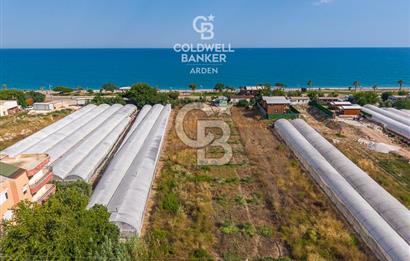 ANTALYA DEMRE TAŞDİBİ DENİZE 100 METRE KONUMDA SATILIK TARLA