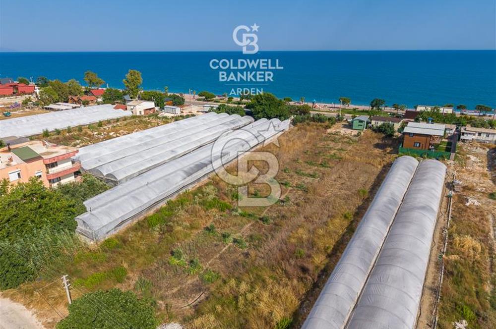ANTALYA DEMRE TAŞDİBİ DENİZE 100 METRE KONUMDA SATILIK TARLA