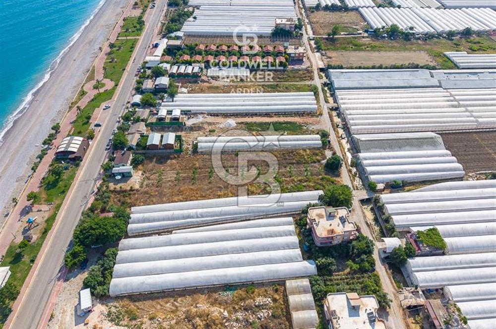 ANTALYA DEMRE TAŞDİBİ DENİZE 100 METRE KONUMDA SATILIK TARLA