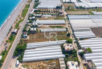 ANTALYA DEMRE TAŞDİBİ DENİZE 100 METRE KONUMDA SATILIK TARLA - 3 - 360706