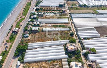ANTALYA DEMRE TAŞDİBİ DENİZE 100 METRE KONUMDA SATILIK TARLA