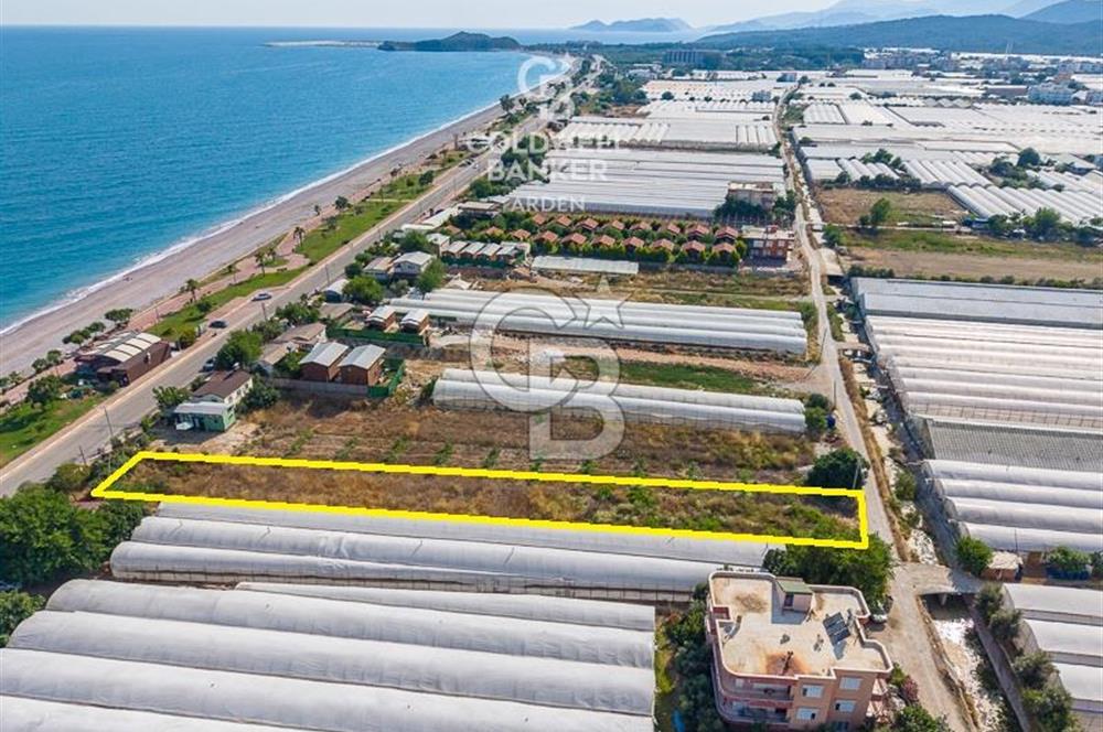 ANTALYA DEMRE TAŞDİBİ DENİZE 100 METRE KONUMDA SATILIK TARLA