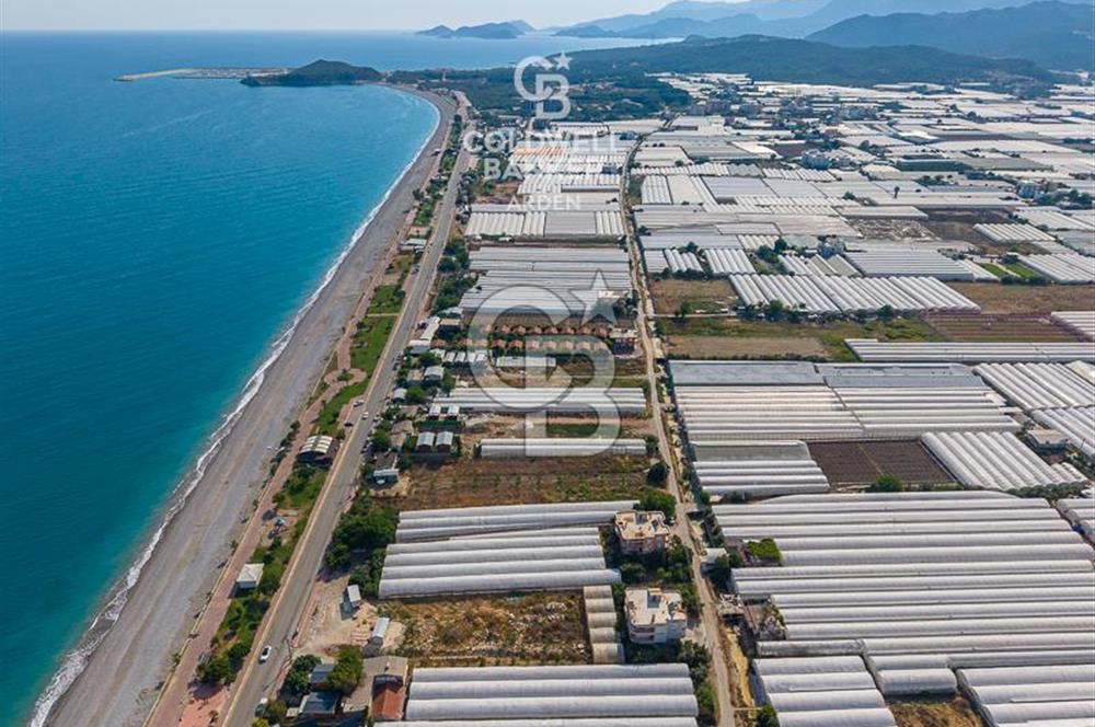 ANTALYA DEMRE TAŞDİBİ DENİZE 100 METRE KONUMDA SATILIK TARLA