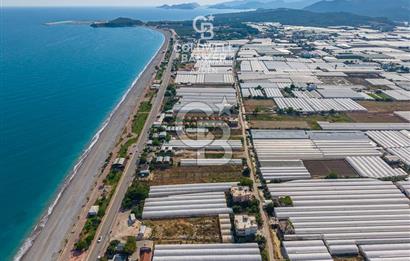 ANTALYA DEMRE TAŞDİBİ DENİZE 100 METRE KONUMDA SATILIK TARLA