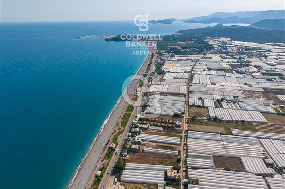 ANTALYA DEMRE TAŞDİBİ DENİZE 100 METRE KONUMDA SATILIK TARLA