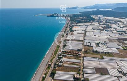 ANTALYA DEMRE TAŞDİBİ DENİZE 100 METRE KONUMDA SATILIK TARLA