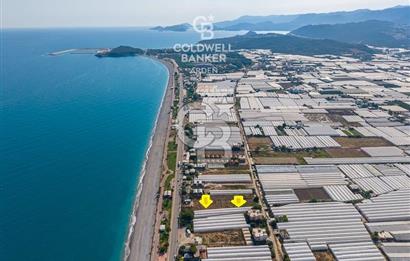 ANTALYA DEMRE TAŞDİBİ DENİZE 100 METRE KONUMDA SATILIK TARLA