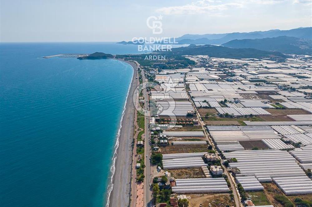 ANTALYA DEMRE TAŞDİBİ DENİZE 100 METRE KONUMDA SATILIK TARLA